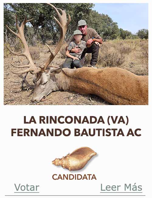 Monteria Candidata a Caracola